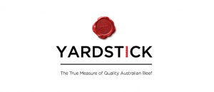 Yardstick ยาดสติก